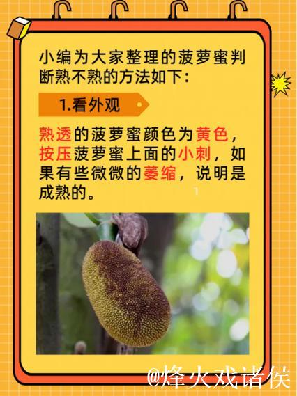 无法观看菠萝蜜视频的解决方案 无法观看菠萝蜜视频的解决方案