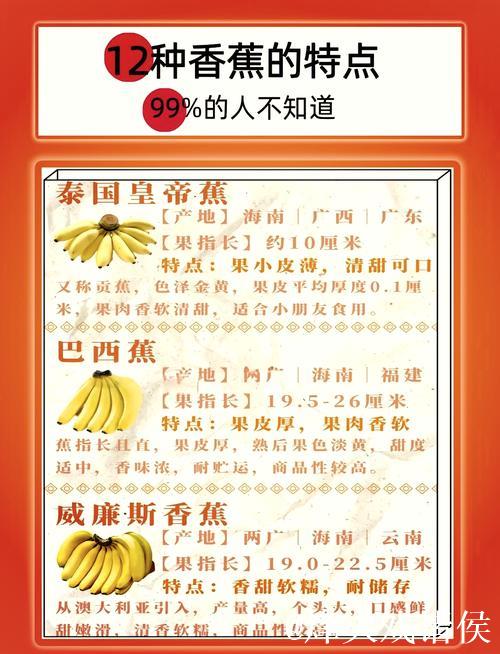深度解析香蕉在线视频平台特色与内容优势